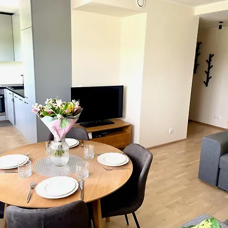 Lille With A Sunny Balcony Apartment