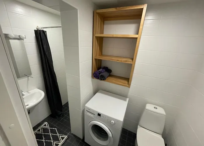 Apartment Lille With A Sunny Balcony *