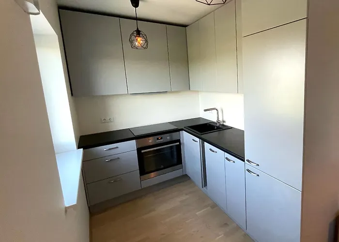 Apartment Lille With A Sunny Balcony *